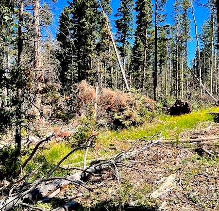 0.26 Acres of Residential Land for Sale in Cloudcroft, New Mexico