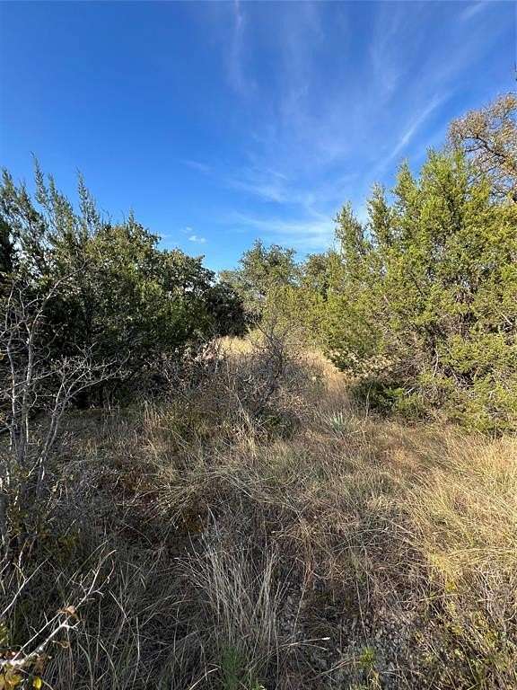 0.46 Acres of Land for Sale in Brownwood, Texas - LandSearch