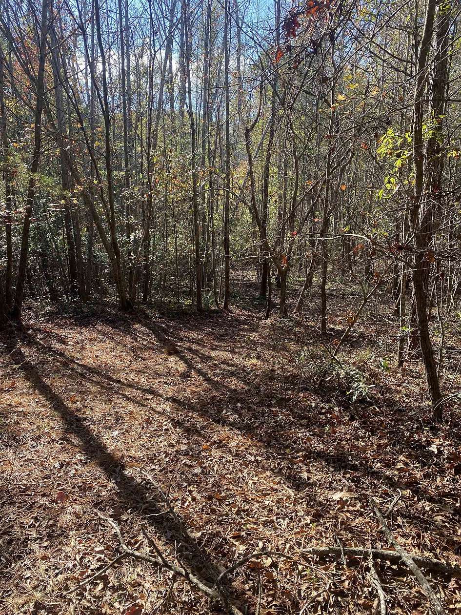 10.89 Acres of Land for Sale in Spartanburg, South Carolina