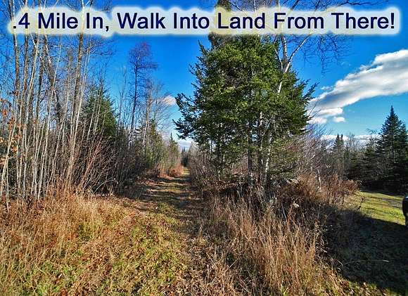 57.2 Acres of Recreational Land for Sale in Linneus, Maine