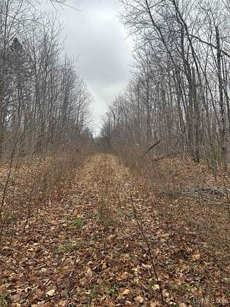 320 Acres of Recreational Land for Sale in Bessemer, Michigan