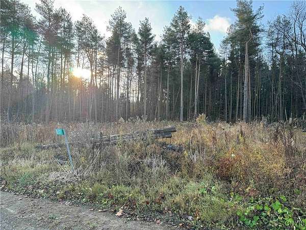 4.79 Acres of Residential Land for Sale in Franklinville, New York