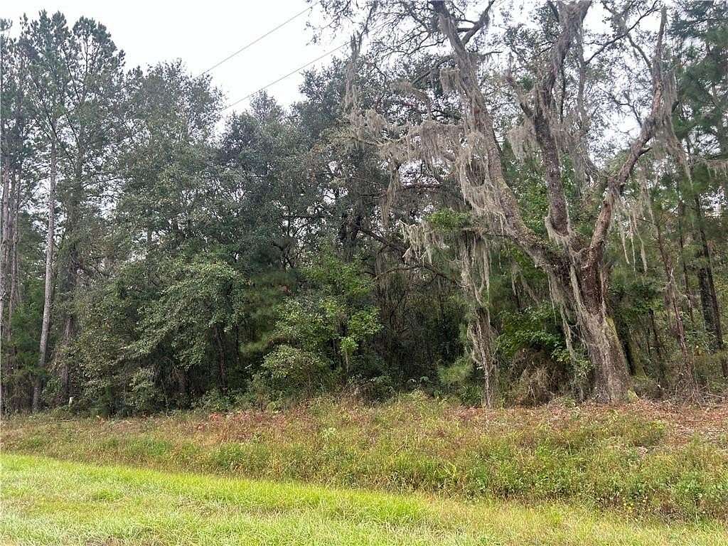 1.68 Acres of Residential Land for Sale in Brunswick, Georgia