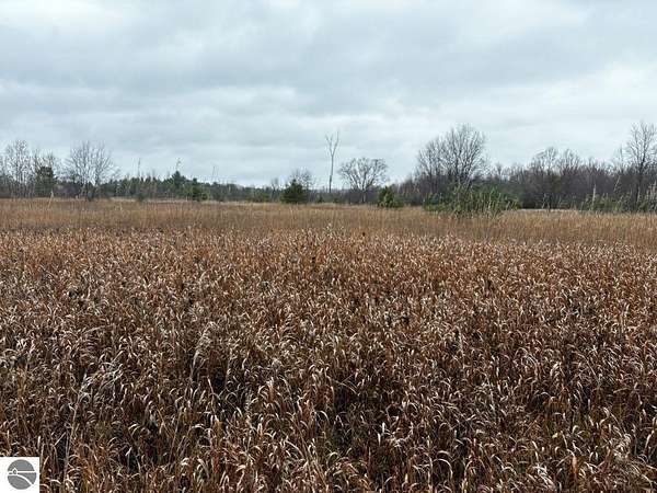 0.45 Acres of Land for Sale in Thompsonville, Michigan