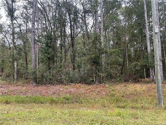 1.75 Acres of Residential Land for Sale in Brunswick, Georgia