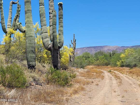 9.39 Acres of Residential Land for Sale in New River, Arizona