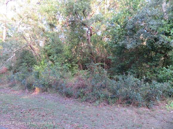 0.15 Acres of Land for Sale in Spring Hill, Florida