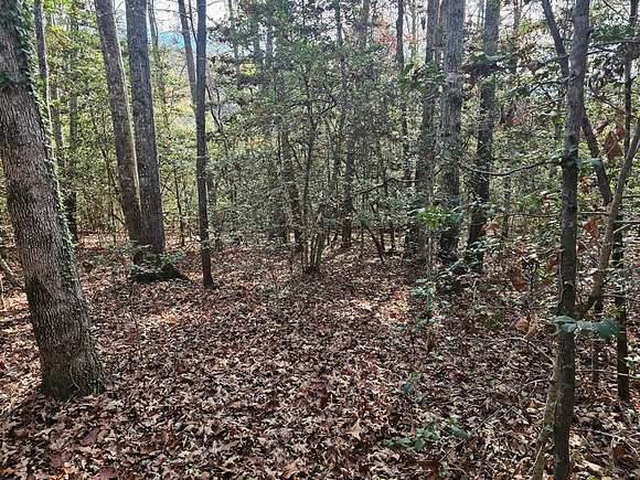 1.01 Acres of Residential Land for Sale in Franklin, North Carolina