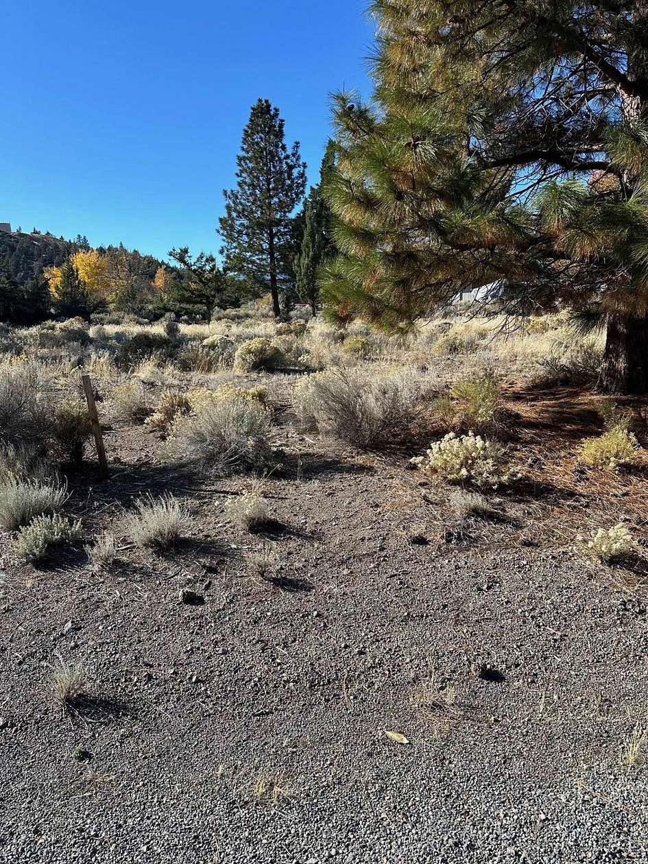 0.29 Acres of Residential Land for Sale in Weed, California