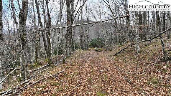 1.23 Acres of Residential Land for Sale in Beech Mountain, North Carolina