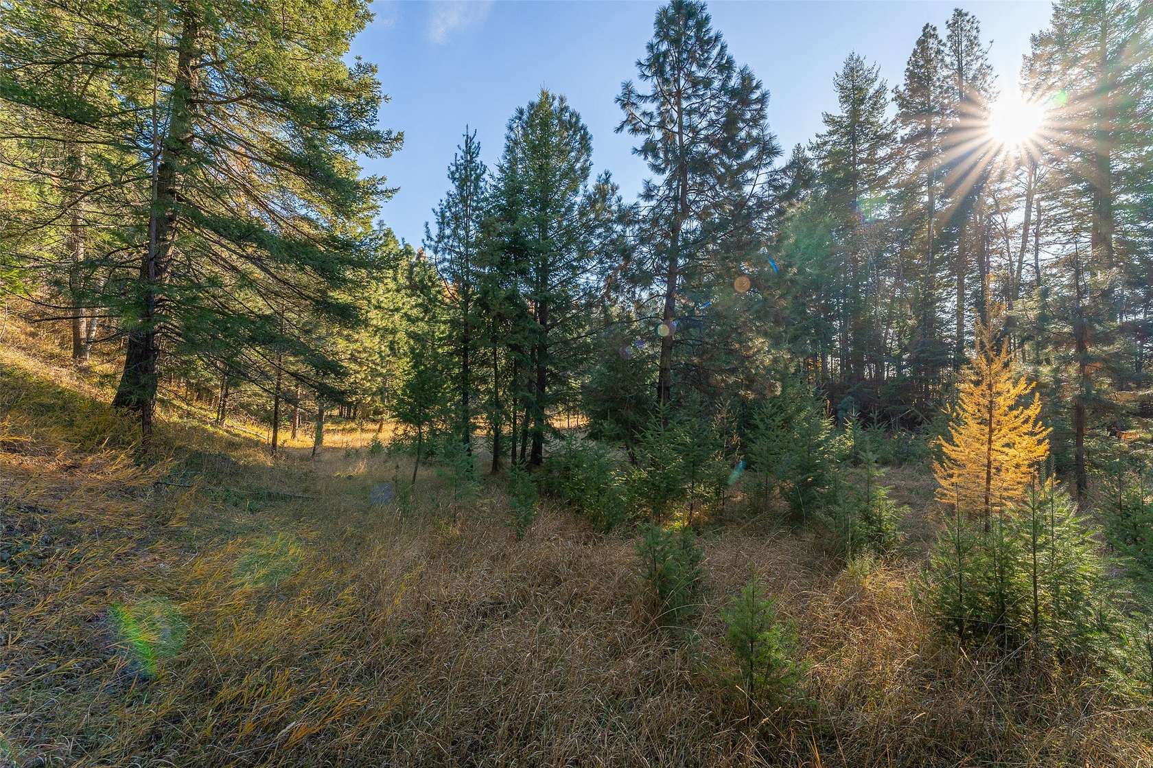 2.63 Acres of Residential Land for Sale in Kalispell, Montana