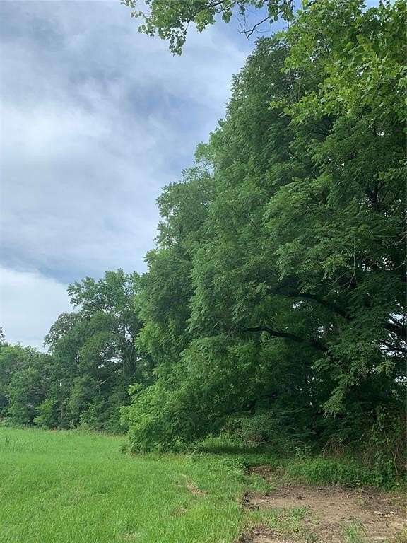 40 Acres of Agricultural Land for Sale in Broken Bow, Oklahoma