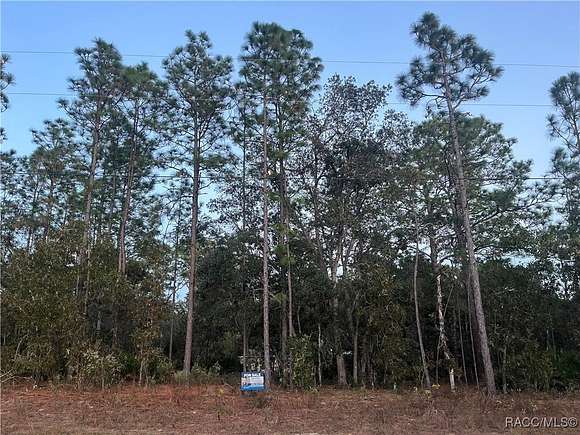 0.23 Acres of Residential Land for Sale in Citrus Springs, Florida