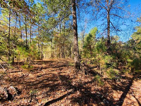 4.521 Acres of Land for Sale in Tyler, Texas