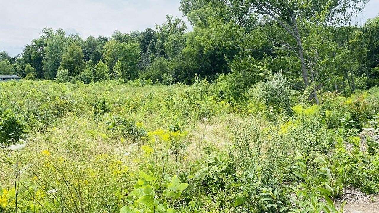 2 Acres of Residential Land for Sale in Three Oaks, Michigan