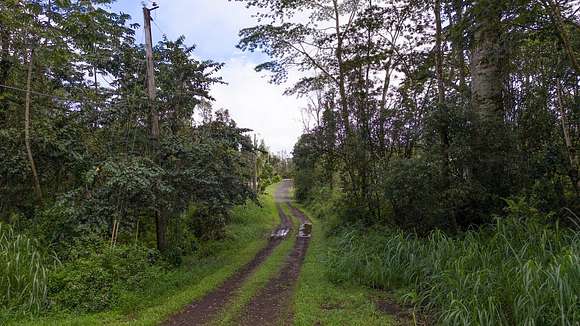 0.207 Acres of Residential Land for Sale in Pahoa, Hawaii