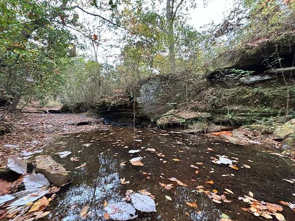 16.7 Acres of Recreational Land for Sale in Hamilton, Alabama