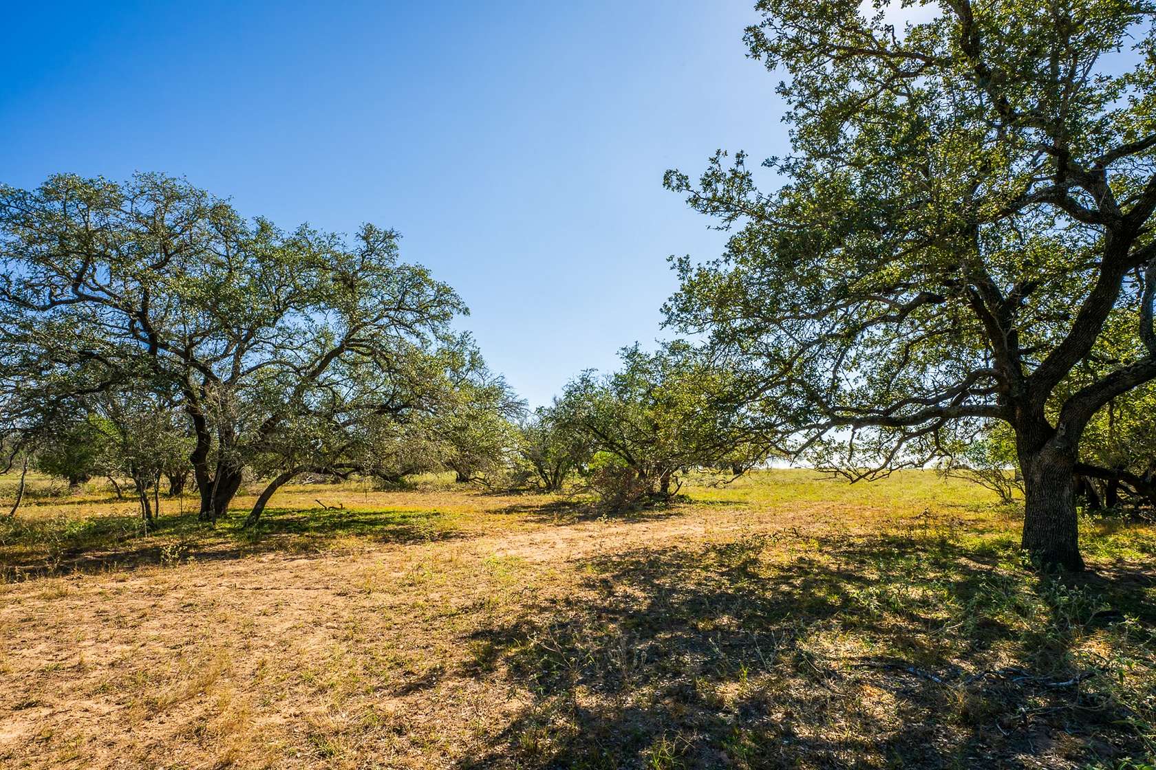 35 Acres of Mixed-Use Land for Sale in Pleasanton, Texas