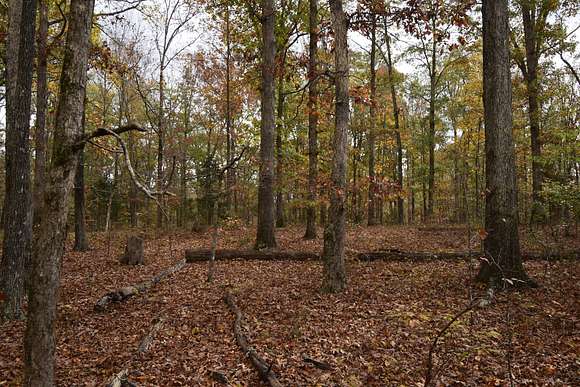 2 Acres of Residential Land for Auction in Nunnelly, Tennessee