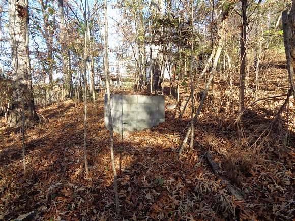 0.2 Acres of Land for Sale in Speedwell, Tennessee