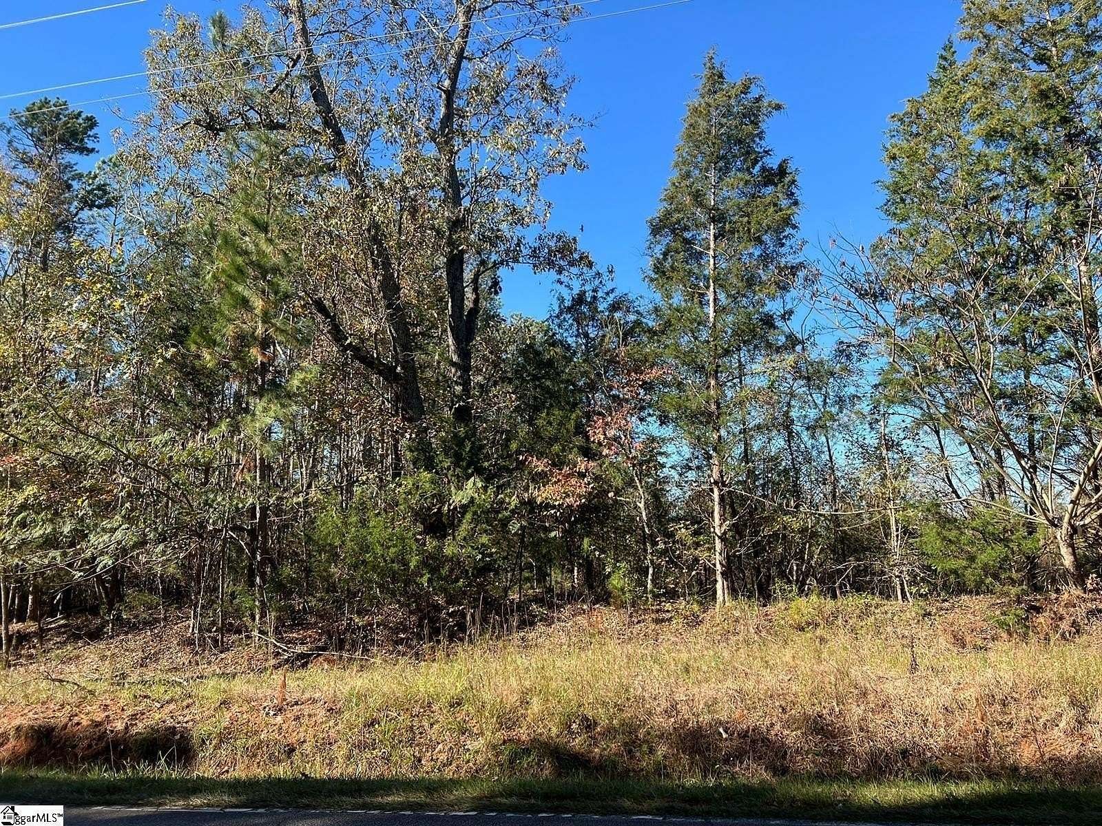 2 Acres of Residential Land for Sale in Waterloo, South Carolina