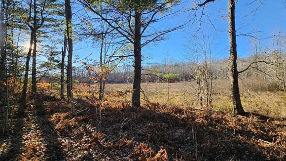 10.3 Acres of Recreational Land for Sale in Kalkaska, Michigan