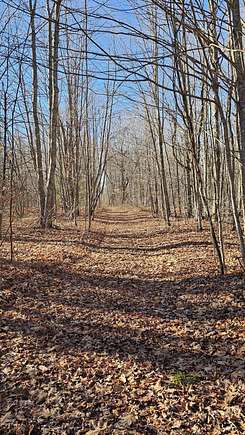 10.3 Acres of Recreational Land for Sale in Kalkaska, Michigan