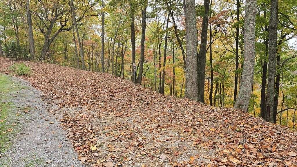 0.48 Acres of Residential Land for Sale in Smithville, Tennessee