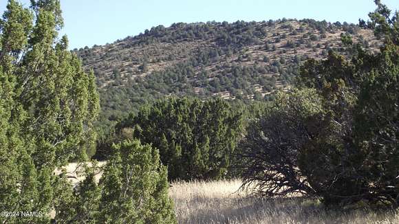 1 Acre of Residential Land for Sale in Williams, Arizona