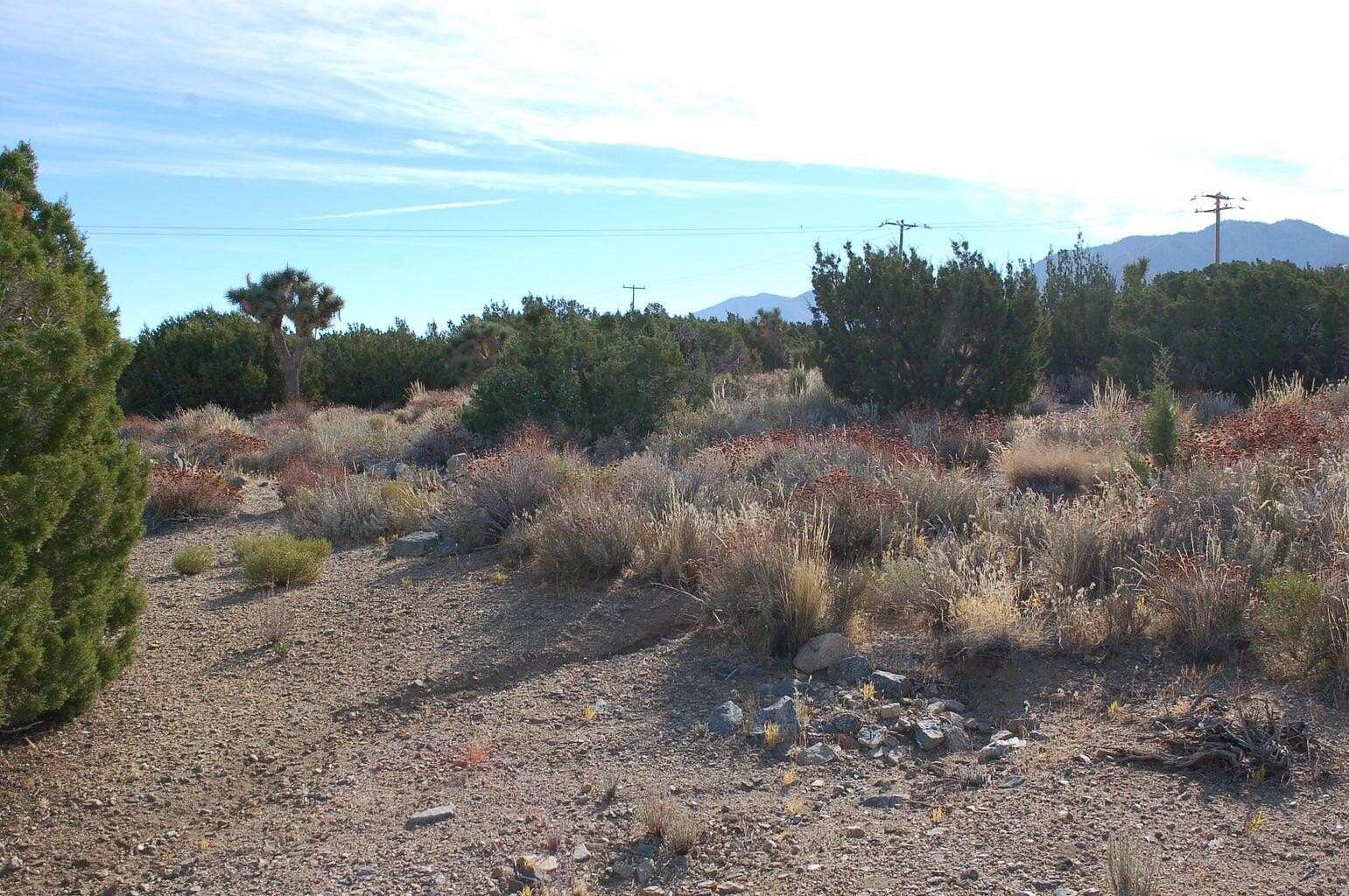 2.501 Acres of Residential Land for Sale in Juniper Hills, California