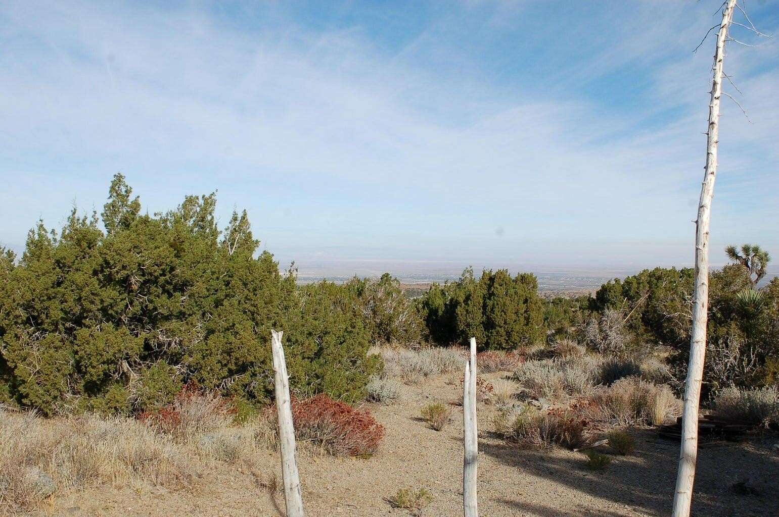 2.501 Acres of Residential Land for Sale in Juniper Hills, California