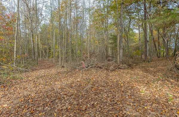6.5 Acres of Residential Land for Sale in Cohutta, Georgia