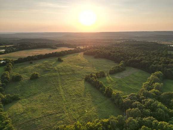 75 Acres of Land with Home for Sale in Golconda, Illinois