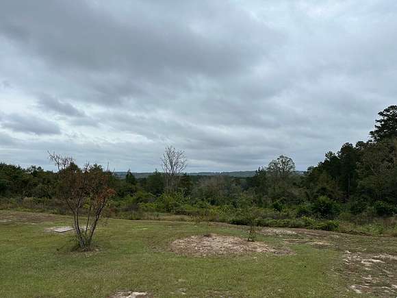 9 Acres of Residential Land for Sale in Ozark, Alabama