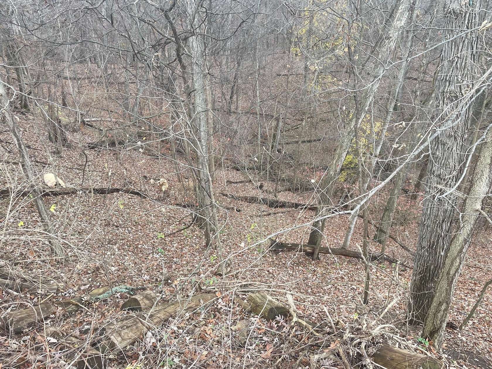 2 Acres of Residential Land for Sale in Grand Rapids, Michigan