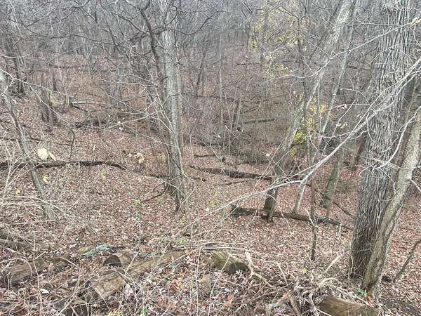 2 Acres of Residential Land for Sale in Grand Rapids, Michigan