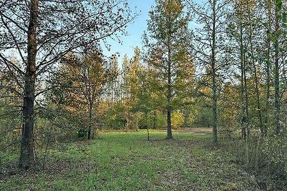 25.96 Acres of Recreational Land for Sale in Winnsboro, Texas