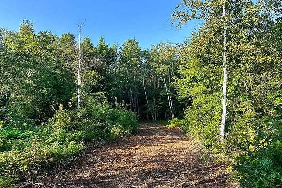 9.58 Acres of Land for Sale in Sand Creek, Wisconsin