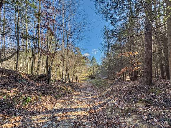 208 Acres of Recreational Land & Farm for Auction in Alkol, West Virginia