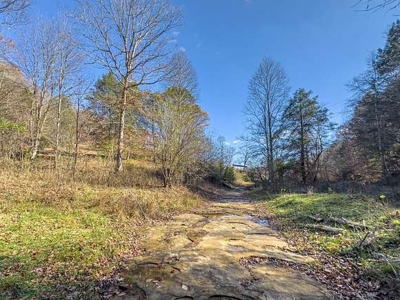 208 Acres of Recreational Land & Farm for Auction in Alkol, West Virginia