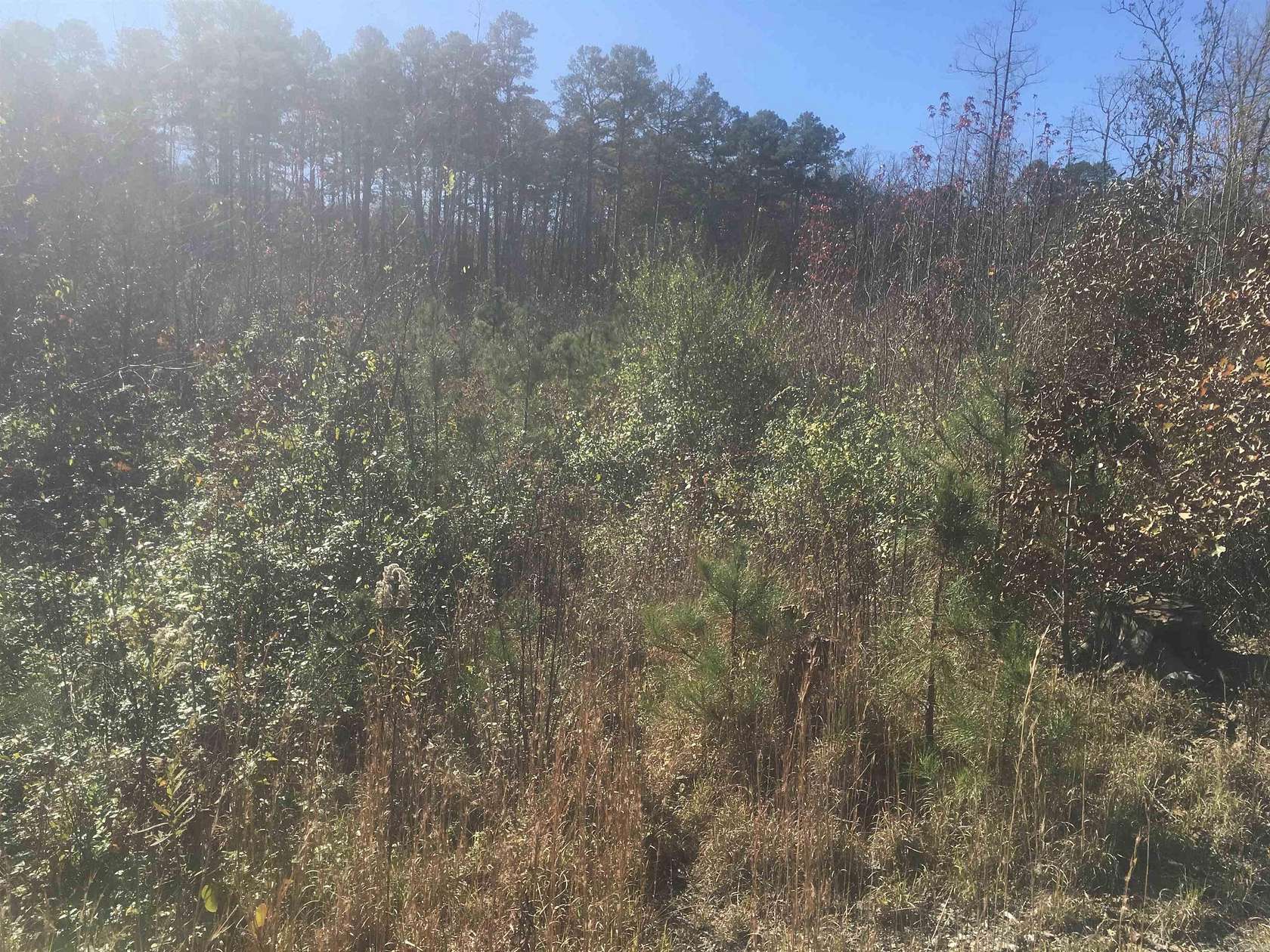 8 Acres of Residential Land for Sale in Norman, Arkansas