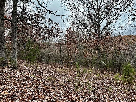 5 Acres of Land for Sale in Cadet, Missouri