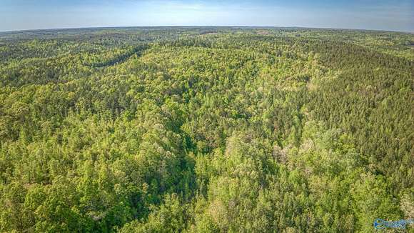 87 Acres of Land for Sale in Beaverton, Alabama