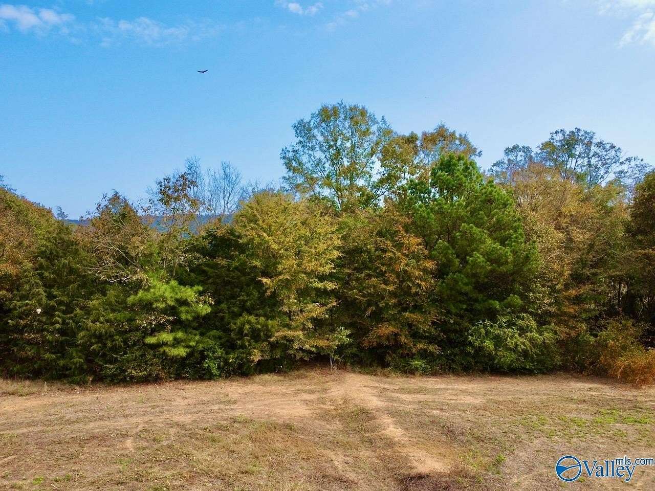 2.11 Acres of Land for Sale in Langston, Alabama