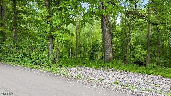 5.1 Acres of Residential Land for Sale in Lore City, Ohio