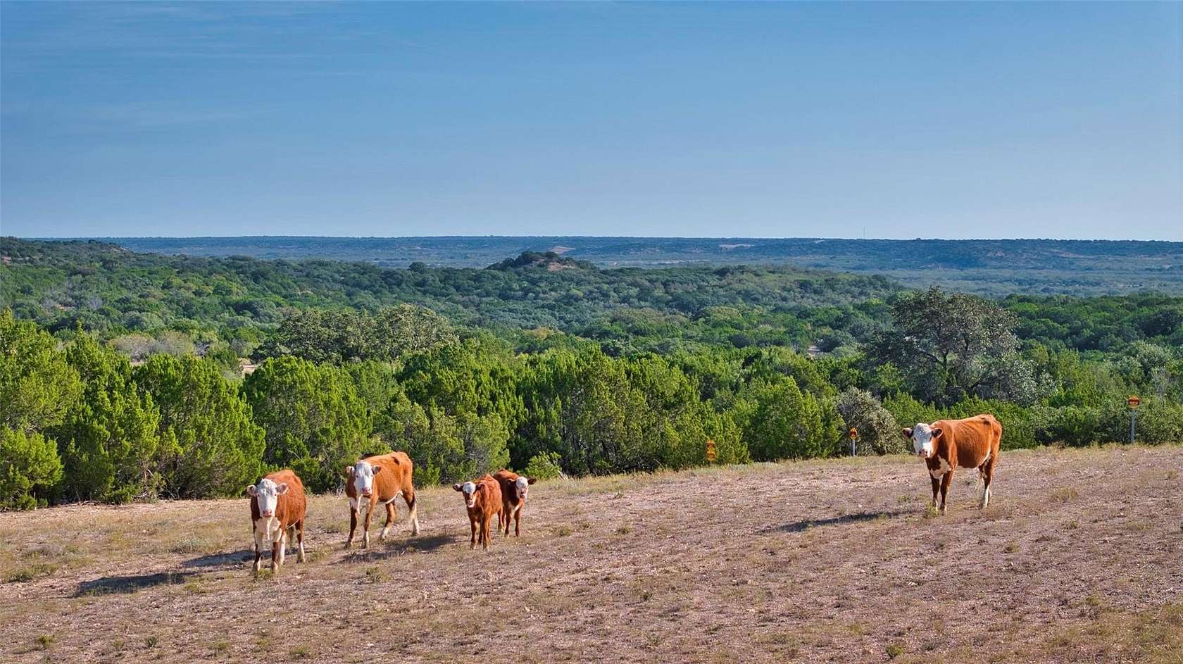 400.03 Acres of Land for Sale in Rochelle, Texas