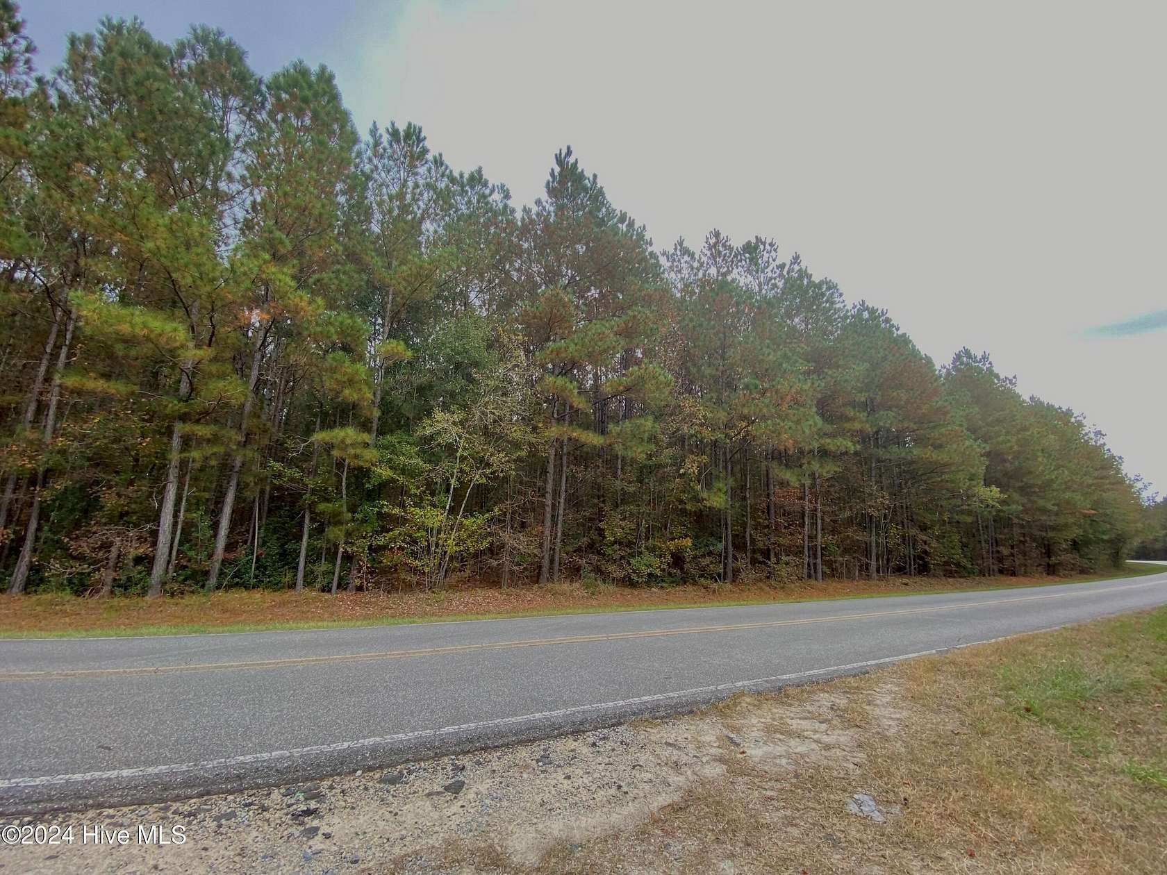 18 Acres of Recreational Land for Sale in Grimesland, North Carolina