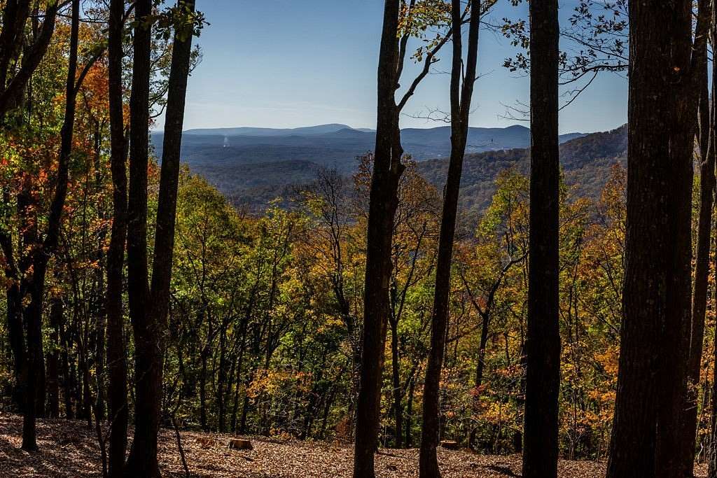 40.5 Acres of Recreational Land for Sale in Jasper, Georgia