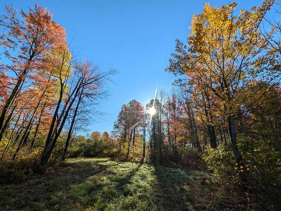 65 Acres of Recreational Land for Sale in Prentice, Wisconsin