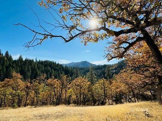 14.41 Acres of Land for Sale in Hayfork, California